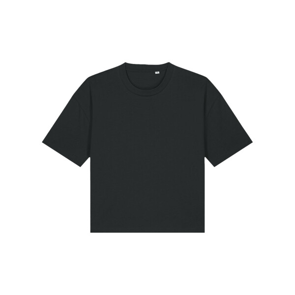 stella nova Thumbnail